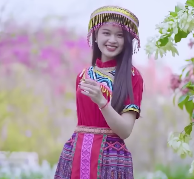 lĩnh vực hoạt động